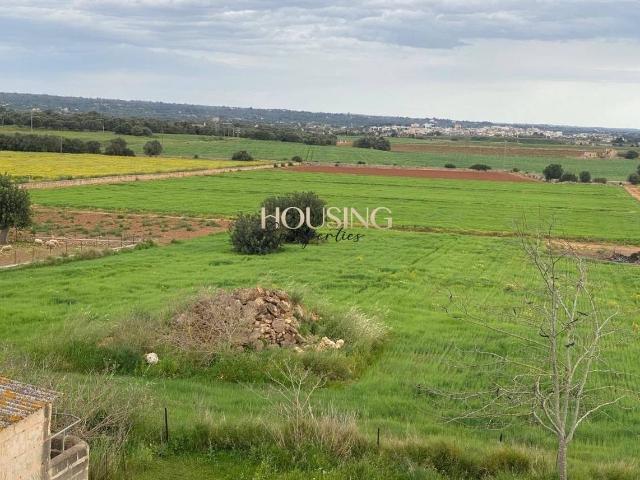 Finca rústica en Venta en Son Ferriol
