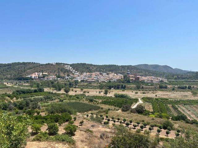 Finca rústica en Venta en Sot de Ferrer