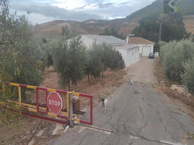 Finca rústica en Venta en Teba