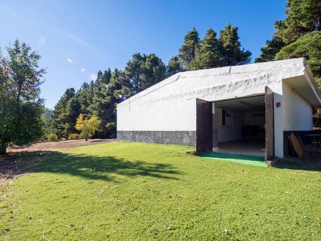 Finca rústica en Venta en Tejeda