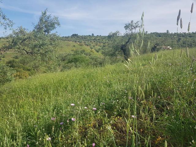 Finca rústica en Venta en Tolox