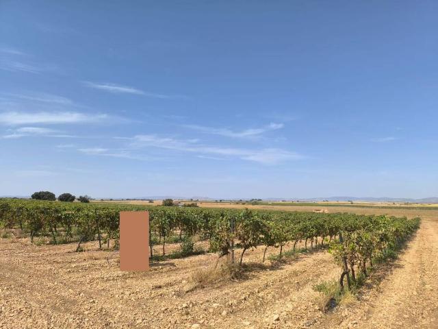 Finca rústica en Venta en Torralba de Calatrava
