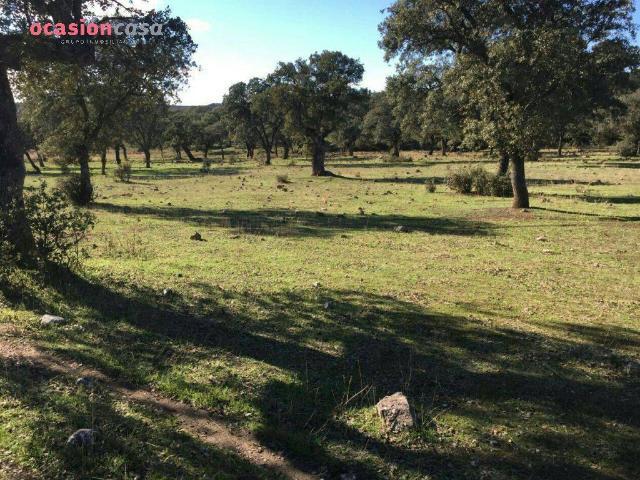 Finca rústica en Venta en Torrecampo