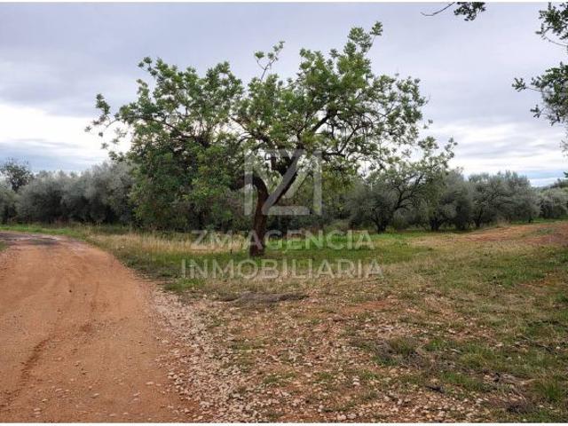 Finca rustica en Venta en Traiguera, Castellón