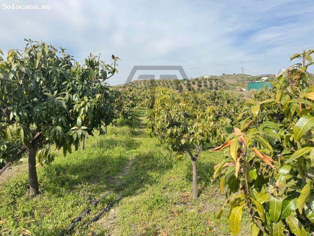 Finca rustica en Venta en Trapiche, Málaga