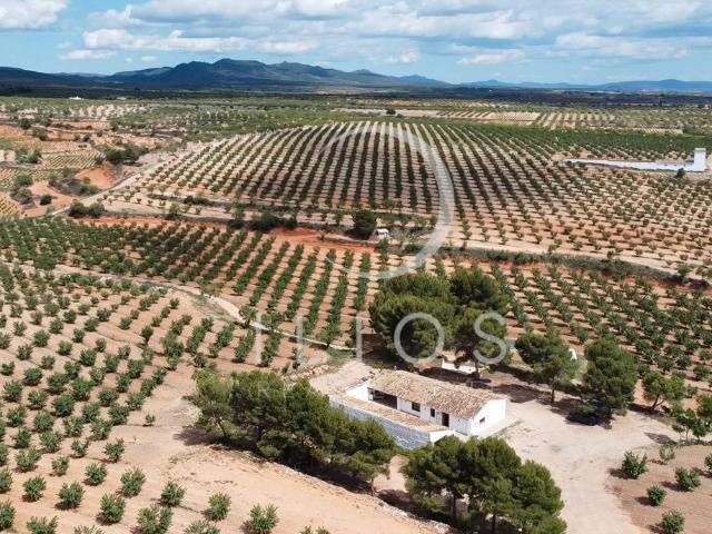 Finca rústica en Venta en Utiel