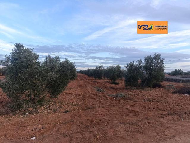 Finca rústica en Venta en Valdepeñas
