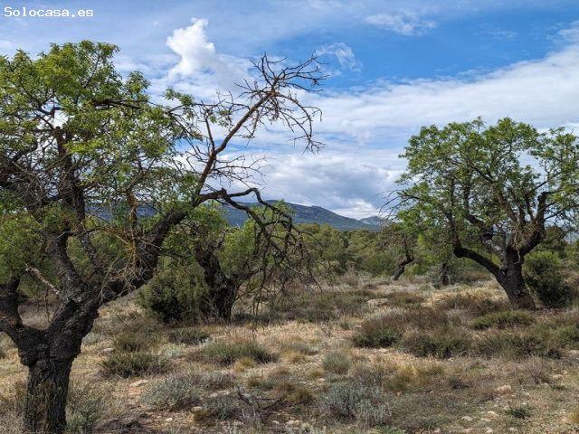 Finca rustica en Venta en Valderrobres, Teruel