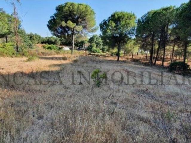 Finca rustica en venta en Valverde del Camino
