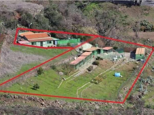 Finca rústica en Venta en Vega de San Mateo