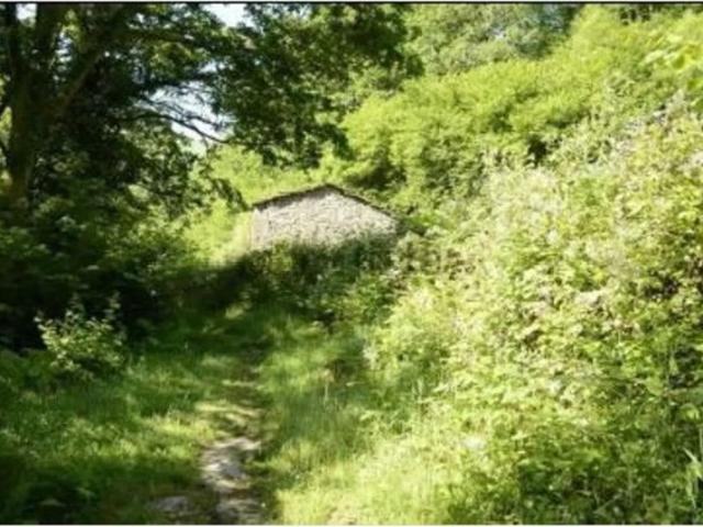 Finca rustica en Venta en Vega de Pas, Cantabria
