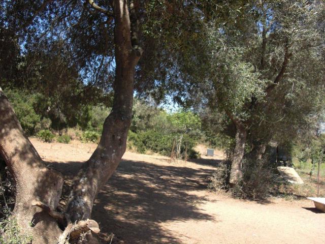 Finca rústica en Venta en Vejer