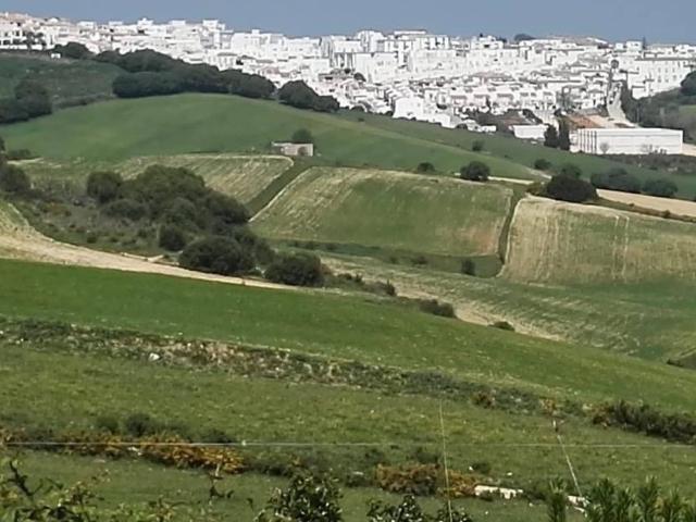 Finca rústica en Venta en Vejer