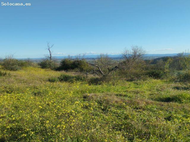 Finca rustica en Venta en Viandar de la Vera, Cáceres