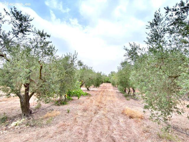 Finca rustica en Venta en Viladecavalls, Tarragona