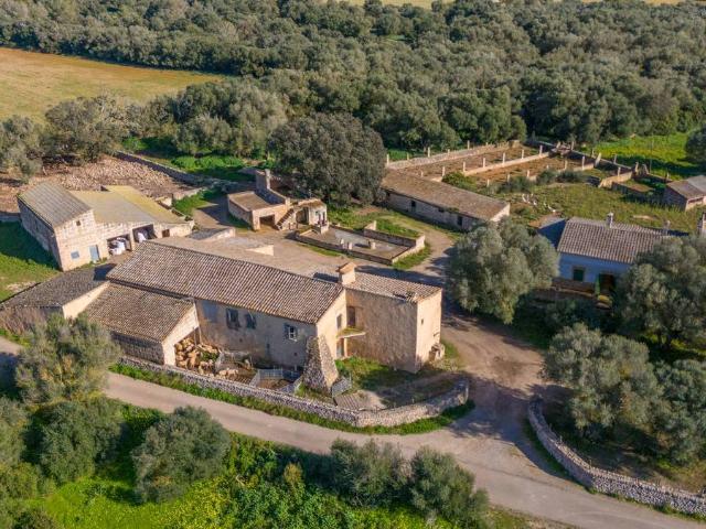 Finca rústica en Venta en Vilafranca de Bonany
