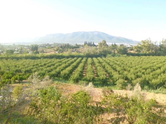 Finca rústica en Venta en Villafranco del Guadalhorce