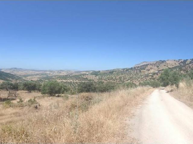 Finca rústica en Venta en Villanueva de la Concepción