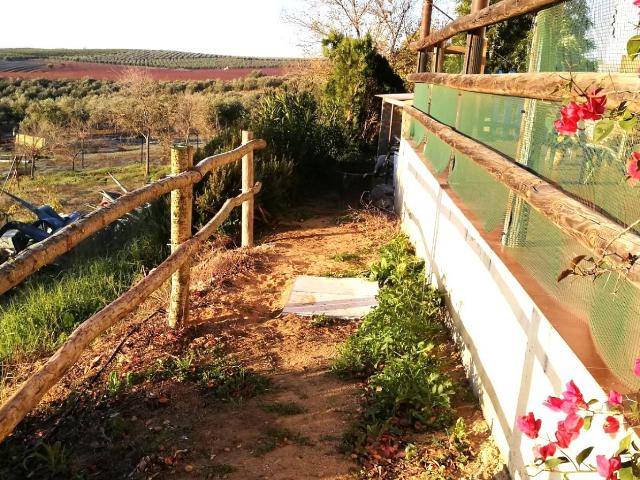Finca rústica en venta en Villanueva del Río y Minas – 5 hectáreas de olivar de secano con vivienda autosuficiente