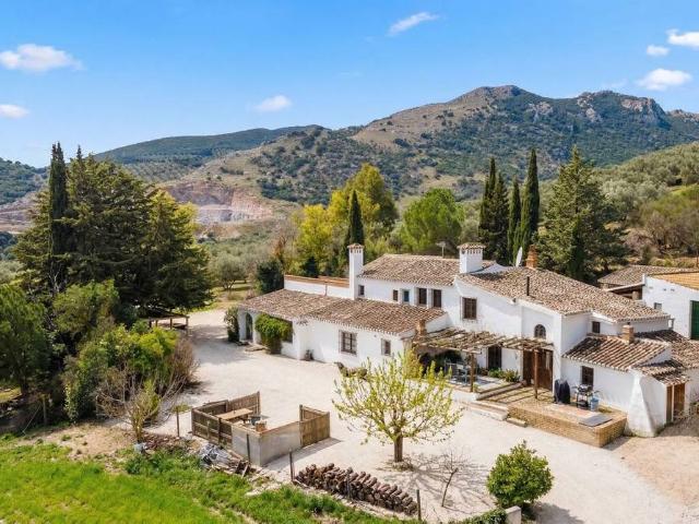 Finca rústica en Venta en Villanueva del Rosario