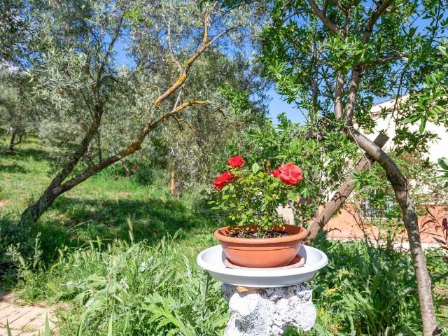Finca rústica en Venta en Villanueva del Trabuco