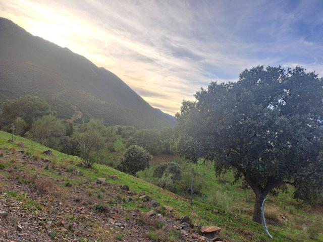 Finca rústica en Venta en Villar del Pozo