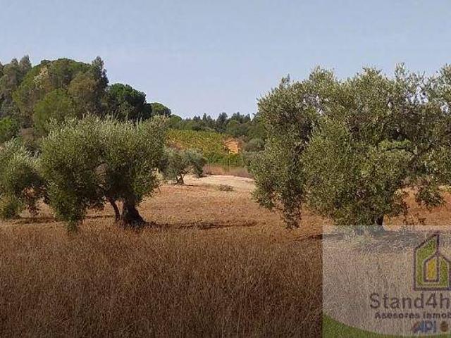 Finca rústica en Venta en Villarrasa