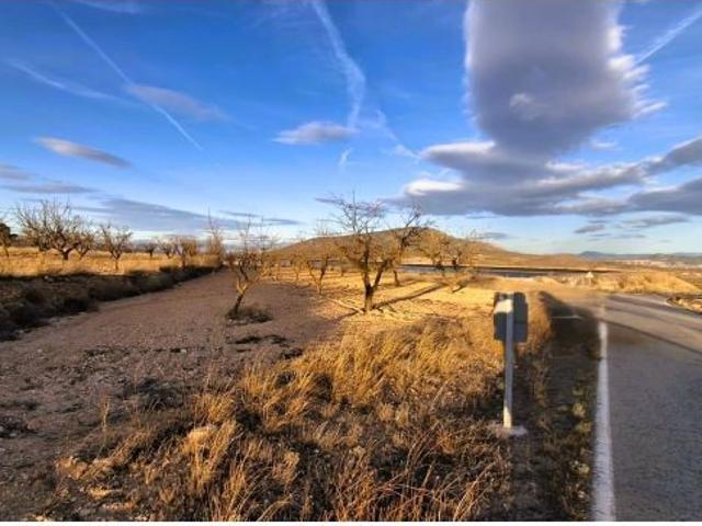 Finca rustica en Venta en Yecla, Murcia