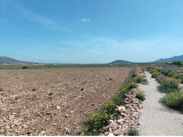 Finca rustica en Venta en Yecla, Murcia
