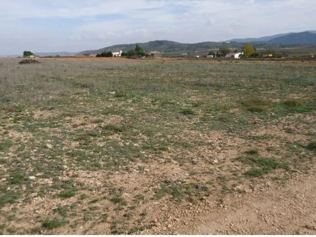 Finca rustica en Venta en Yecla, Murcia