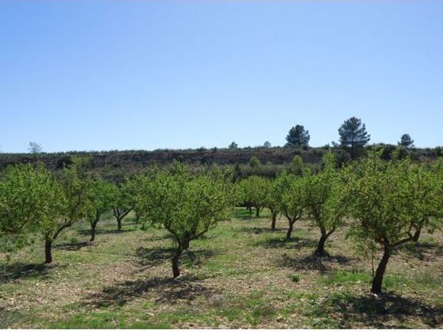 Finca rustica en Venta en Yecla, Murcia