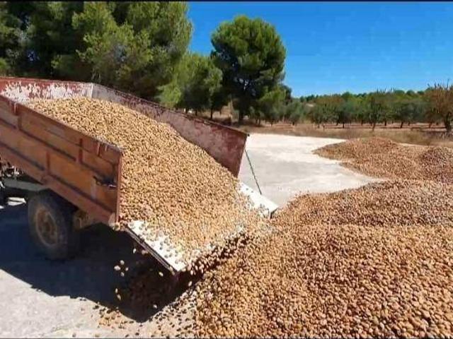 Finca rústica en Venta en Yecla