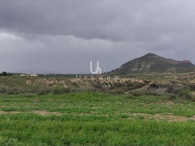 Finca rustica en venta en Zarcilla de Ramos Doña Inés