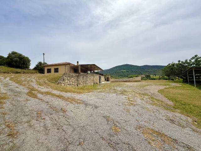 Finca rústica en Venta en Zona Sur Av. de España San Miguel