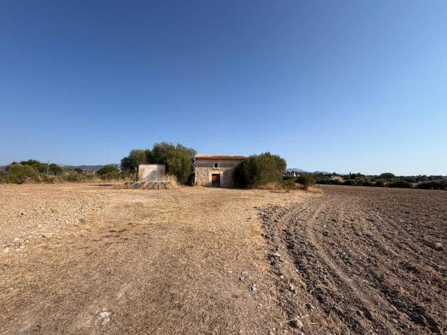 Finca rústica en Venta en Zona Periurbana