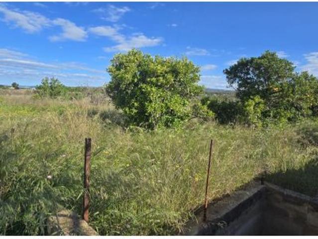 Finca rústica en venta Lliria
