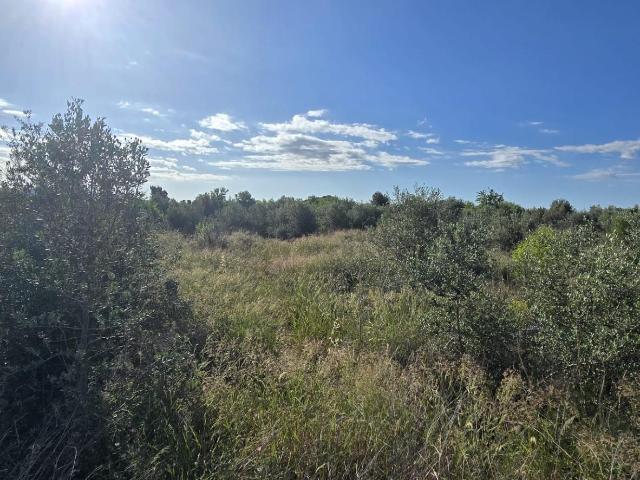 Finca rústica en venta Lliria