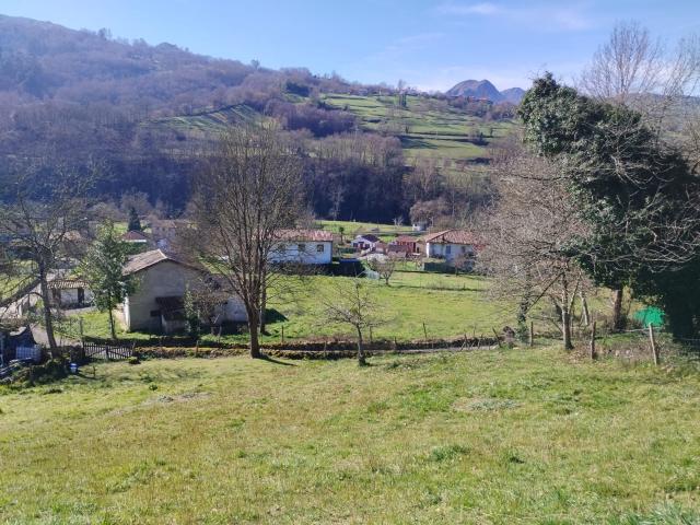 Finca rústica en venta. PARRES