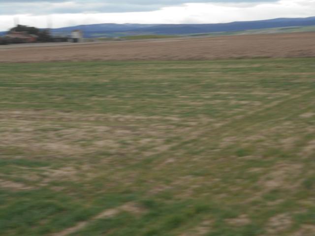 Finca rústica en venta. SAN PEDRO DEL ARROYO