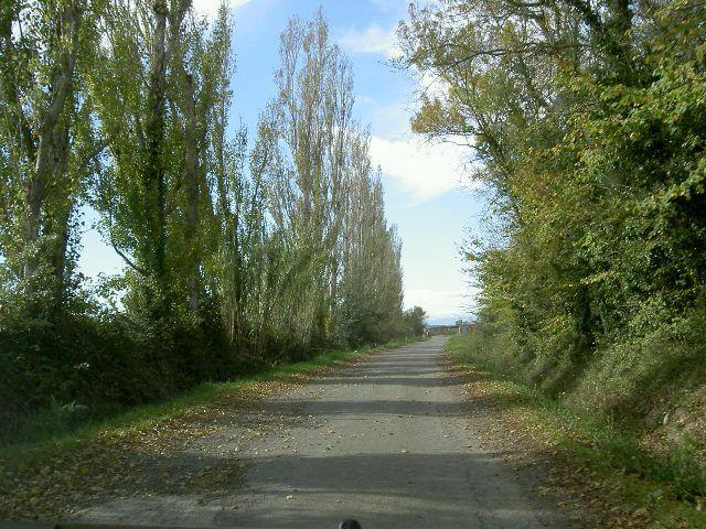 Finca rústica en venta. SANT PERE PESCADOR