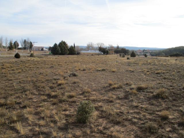 Finca rústica en venta. TERUEL