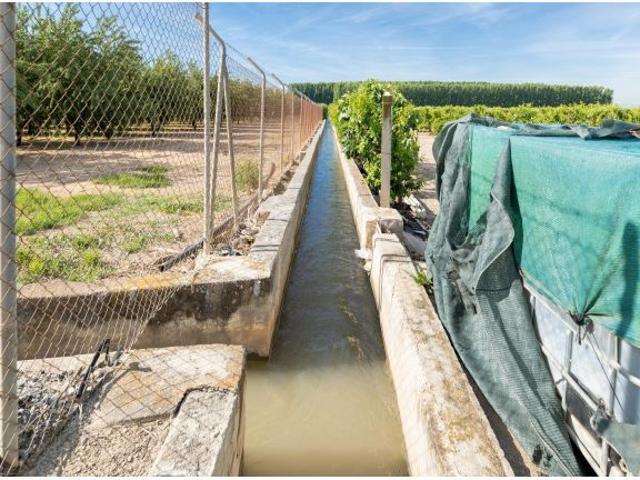 Finca Rústica en Venta – Vega Norte de Granada
