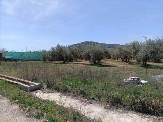 Finca rústica en venta