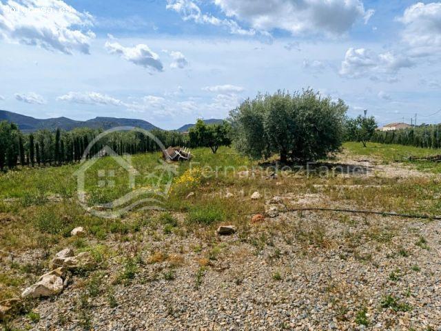 Finca rústica equipada, 2000 m2 cerca de Puerto Lumbreras Lorca