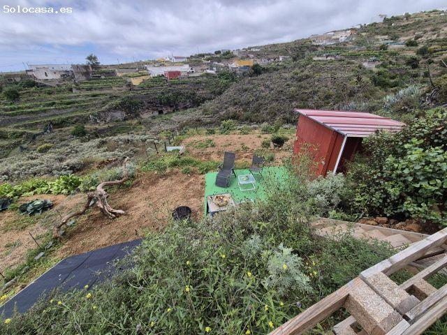 FINCA RUSTICA FASNIA