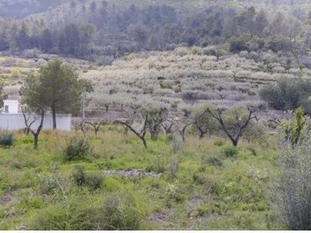 Finca Rústica Ideal para Uso Agrícola en Entorno Natural