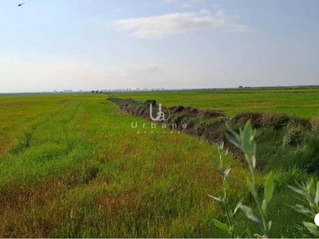 FINCA RUSTICA LA ALBUFERA