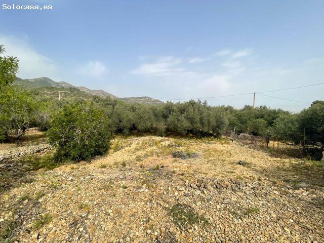 FINCA RÚSTICA LA RÀPITA