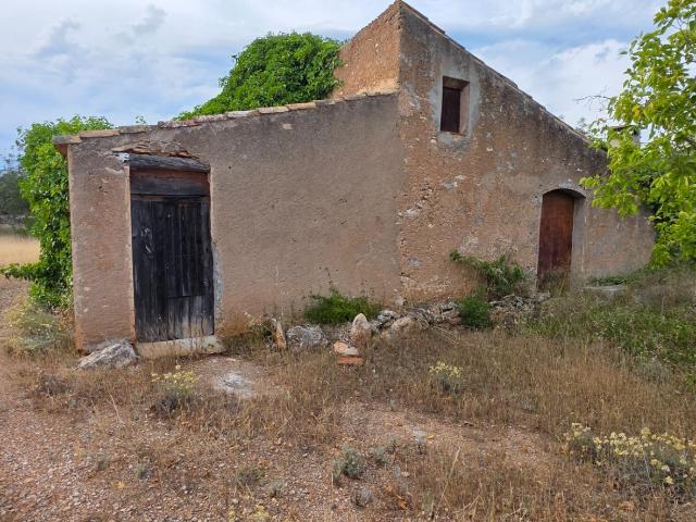 Finca Rústica Llana con Paisaje Natural a 9 km del Mar