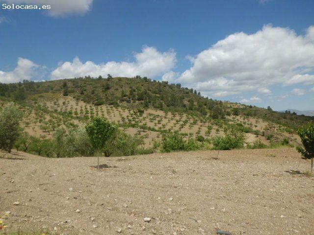 Finca Rústica, LOS GOMEZ, JARALES